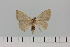  ( - HSS18026)  @11 [ ] Unspecified (default): All Rights Reserved  Unspecified Unspecified