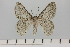  ( - HSS18029)  @11 [ ] Unspecified (default): All Rights Reserved  Unspecified Unspecified