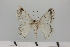  ( - HSS18029)  @11 [ ] Unspecified (default): All Rights Reserved  Unspecified Unspecified