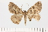  ( - HSS18033)  @11 [ ] Unspecified (default): All Rights Reserved  Unspecified Unspecified