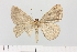  ( - HSS18033)  @11 [ ] Unspecified (default): All Rights Reserved  Unspecified Unspecified