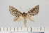  ( - HSS18044)  @11 [ ] Unspecified (default): All Rights Reserved  Unspecified Unspecified