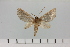  ( - HSS18044)  @11 [ ] Unspecified (default): All Rights Reserved  Unspecified Unspecified