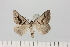  ( - HSS18046)  @11 [ ] Unspecified (default): All Rights Reserved  Unspecified Unspecified