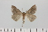  ( - HSS18046)  @11 [ ] Unspecified (default): All Rights Reserved  Unspecified Unspecified