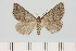  ( - HSS18053)  @11 [ ] Unspecified (default): All Rights Reserved  Unspecified Unspecified