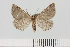  ( - HSS18053)  @11 [ ] Unspecified (default): All Rights Reserved  Unspecified Unspecified