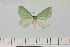  ( - HSS18055)  @11 [ ] Unspecified (default): All Rights Reserved  Unspecified Unspecified