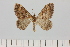  ( - HSS18057)  @11 [ ] Unspecified (default): All Rights Reserved  Unspecified Unspecified