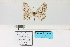  ( - HSS18070)  @11 [ ] Unspecified (default): All Rights Reserved  Unspecified Unspecified