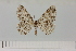  ( - HSS18070)  @11 [ ] Unspecified (default): All Rights Reserved  Unspecified Unspecified