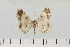  ( - HSS18070)  @11 [ ] Unspecified (default): All Rights Reserved  Unspecified Unspecified
