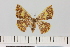  ( - HSS18098)  @11 [ ] Unspecified (default): All Rights Reserved  Unspecified Unspecified