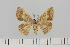  ( - HSS18098)  @11 [ ] Unspecified (default): All Rights Reserved  Unspecified Unspecified