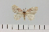  ( - HSS18103)  @11 [ ] Unspecified (default): All Rights Reserved  Unspecified Unspecified
