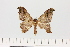  ( - HSS18104)  @11 [ ] Unspecified (default): All Rights Reserved  Unspecified Unspecified