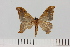  ( - HSS18104)  @11 [ ] Unspecified (default): All Rights Reserved  Unspecified Unspecified