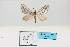  ( - HSS18125)  @11 [ ] Unspecified (default): All Rights Reserved  Unspecified Unspecified
