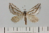  ( - HSS18125)  @11 [ ] Unspecified (default): All Rights Reserved  Unspecified Unspecified