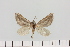  ( - HSS18125)  @11 [ ] Unspecified (default): All Rights Reserved  Unspecified Unspecified