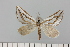  ( - HSS18125)  @11 [ ] Unspecified (default): All Rights Reserved  Unspecified Unspecified