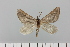  ( - HSS18125)  @11 [ ] Unspecified (default): All Rights Reserved  Unspecified Unspecified