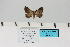  ( - HSS18130)  @11 [ ] Unspecified (default): All Rights Reserved  Unspecified Unspecified