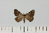  ( - HSS18130)  @11 [ ] Unspecified (default): All Rights Reserved  Unspecified Unspecified