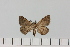  ( - HSS18130)  @11 [ ] Unspecified (default): All Rights Reserved  Unspecified Unspecified