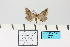 ( - HSS18132)  @11 [ ] Unspecified (default): All Rights Reserved  Unspecified Unspecified