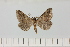  ( - HSS18132)  @11 [ ] Unspecified (default): All Rights Reserved  Unspecified Unspecified