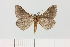  ( - HSS18132)  @11 [ ] Unspecified (default): All Rights Reserved  Unspecified Unspecified