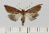  ( - HSS18135)  @11 [ ] Unspecified (default): All Rights Reserved  Unspecified Unspecified