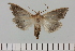  ( - HSS18135)  @11 [ ] Unspecified (default): All Rights Reserved  Unspecified Unspecified