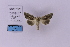  ( - HSS18145)  @11 [ ] Unspecified (default): All Rights Reserved  Unspecified Unspecified