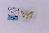  ( - HSS18159)  @11 [ ] Unspecified (default): All Rights Reserved  Unspecified Unspecified