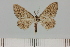 ( - HSS18159)  @11 [ ] Unspecified (default): All Rights Reserved  Unspecified Unspecified