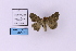  ( - HSS18161)  @11 [ ] Unspecified (default): All Rights Reserved  Unspecified Unspecified