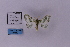  ( - HSS18170)  @11 [ ] Unspecified (default): All Rights Reserved  Unspecified Unspecified