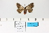  ( - HSS18202)  @11 [ ] Unspecified (default): All Rights Reserved  Unspecified Unspecified