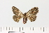  ( - HSS18202)  @11 [ ] Unspecified (default): All Rights Reserved  Unspecified Unspecified