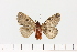  ( - HSS18202)  @11 [ ] Unspecified (default): All Rights Reserved  Unspecified Unspecified