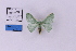  ( - HSS18218)  @11 [ ] Unspecified (default): All Rights Reserved  Unspecified Unspecified