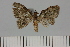  ( - HSS18221)  @11 [ ] Unspecified (default): All Rights Reserved  Unspecified Unspecified