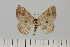  ( - HSS18252)  @11 [ ] Unspecified (default): All Rights Reserved  Unspecified Unspecified