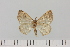  ( - HSS18252)  @11 [ ] Unspecified (default): All Rights Reserved  Unspecified Unspecified