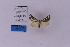  ( - HSS18260)  @11 [ ] Unspecified (default): All Rights Reserved  Unspecified Unspecified