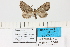  ( - HSS18313)  @11 [ ] Unspecified (default): All Rights Reserved  Unspecified Unspecified