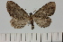  ( - HSS18313)  @11 [ ] Unspecified (default): All Rights Reserved  Unspecified Unspecified