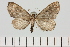  ( - HSS18313)  @11 [ ] Unspecified (default): All Rights Reserved  Unspecified Unspecified